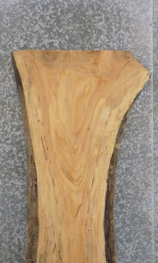 Live Edge Ash Reception Table/Bar Top Wood Slab CLOSEOUT 27