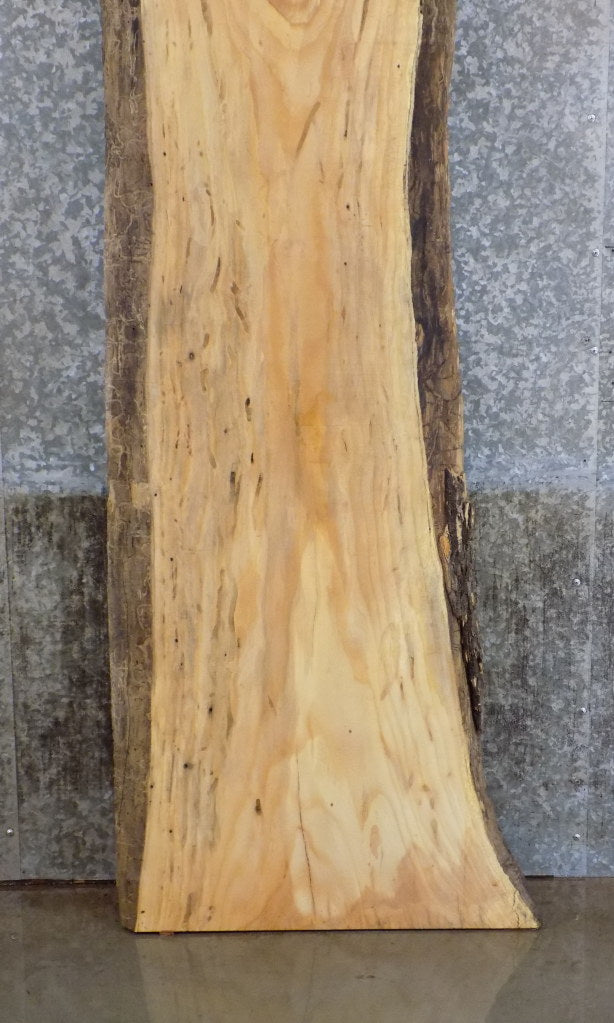 Live Edge Ash Reception Table/Bar Top Wood Slab CLOSEOUT 27
