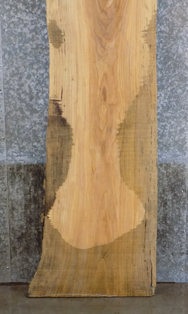 Live Edge Ash Reception Table/Bar Top Wood Slab CLOSEOUT 27