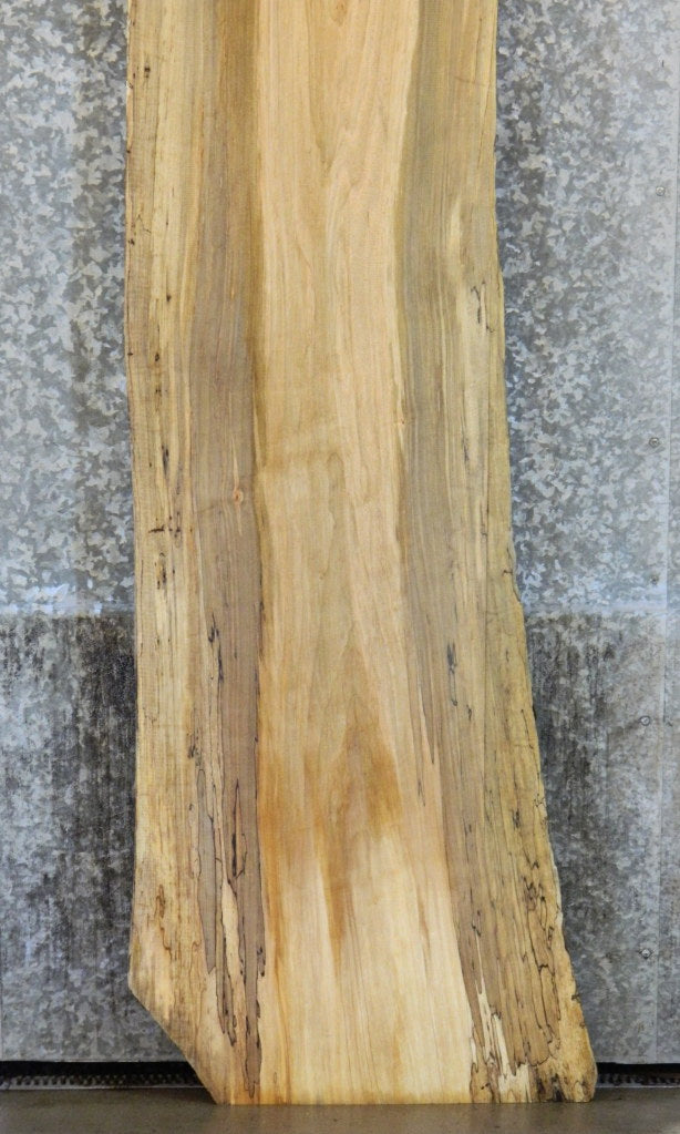Spalted Maple Natural Edge Rustic Bar Top Wood Slab CLOSEOUT 281