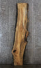 Thumbnail for Spalted Maple Live Edge Desk/Bar Top Slab 281
