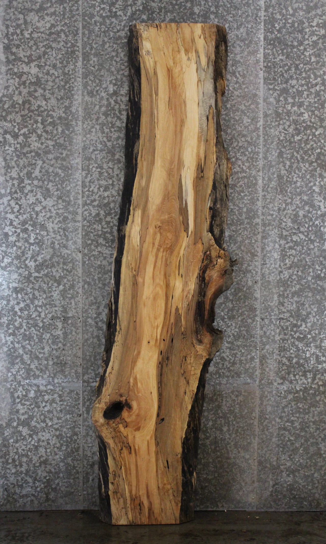 Spalted Maple Live Edge Desk/Bar Top Slab 281
