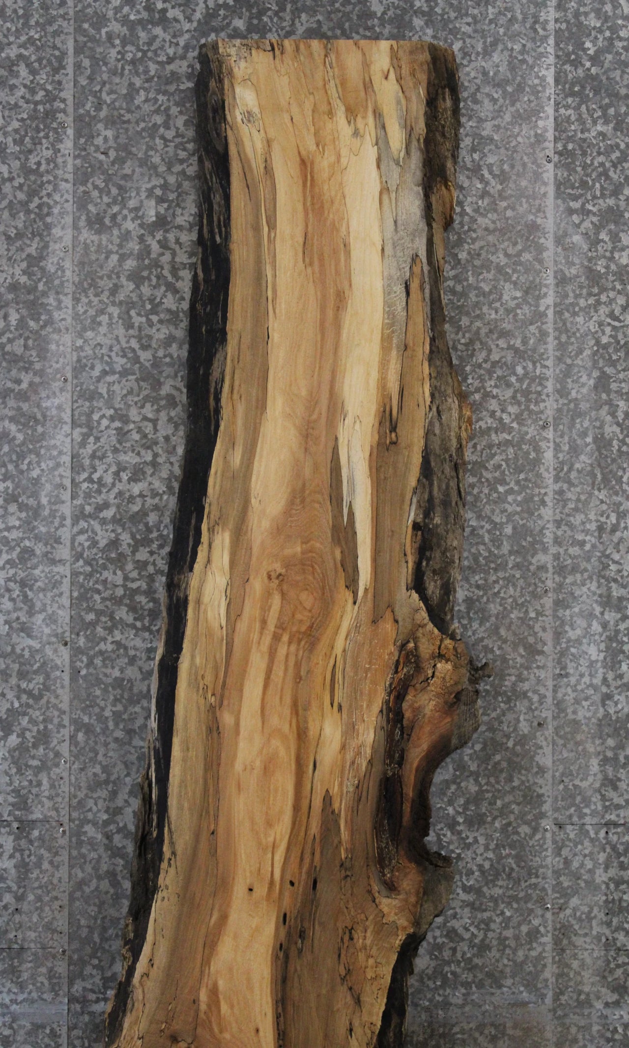 Spalted Maple Live Edge Desk/Bar Top Slab 281