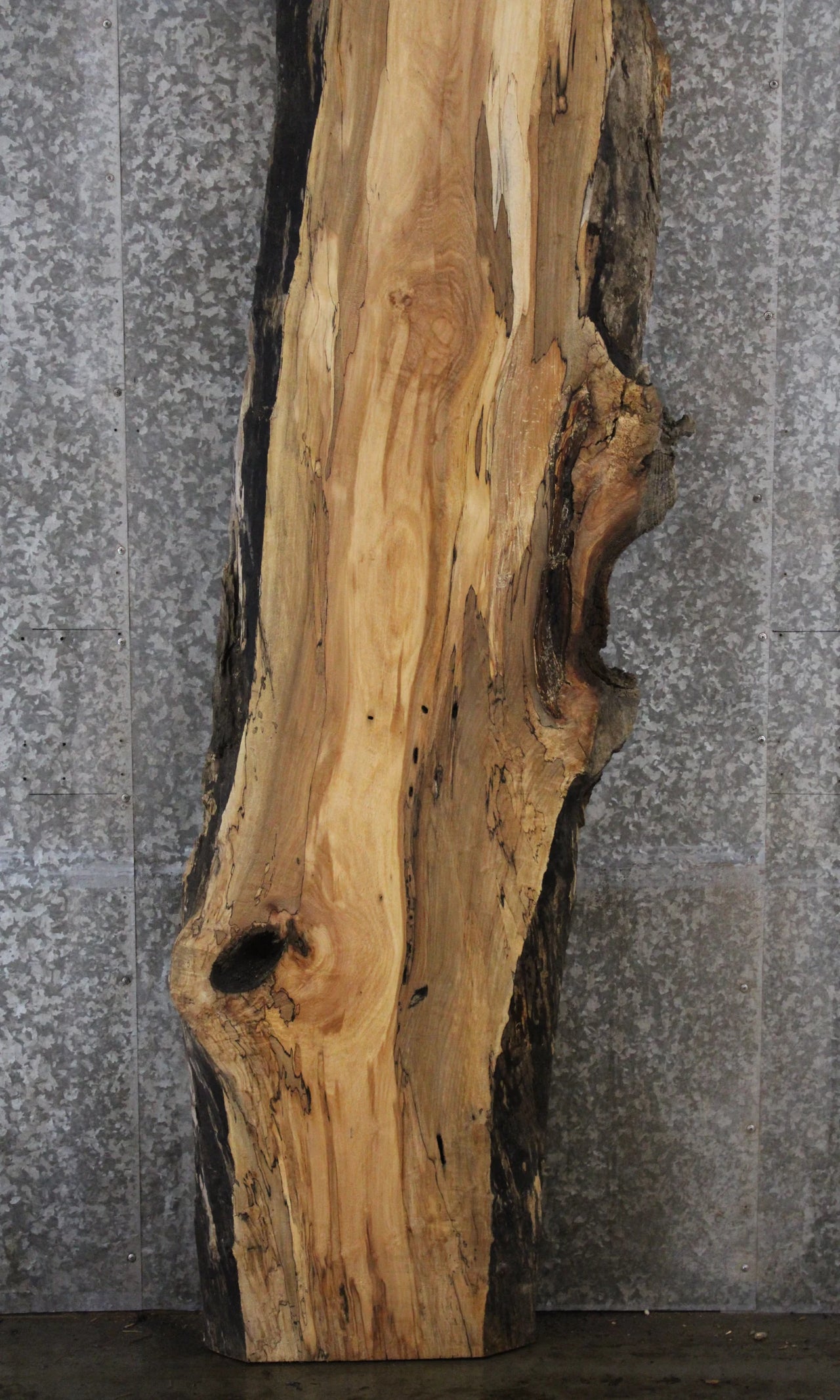 Spalted Maple Live Edge Desk/Bar Top Slab 281