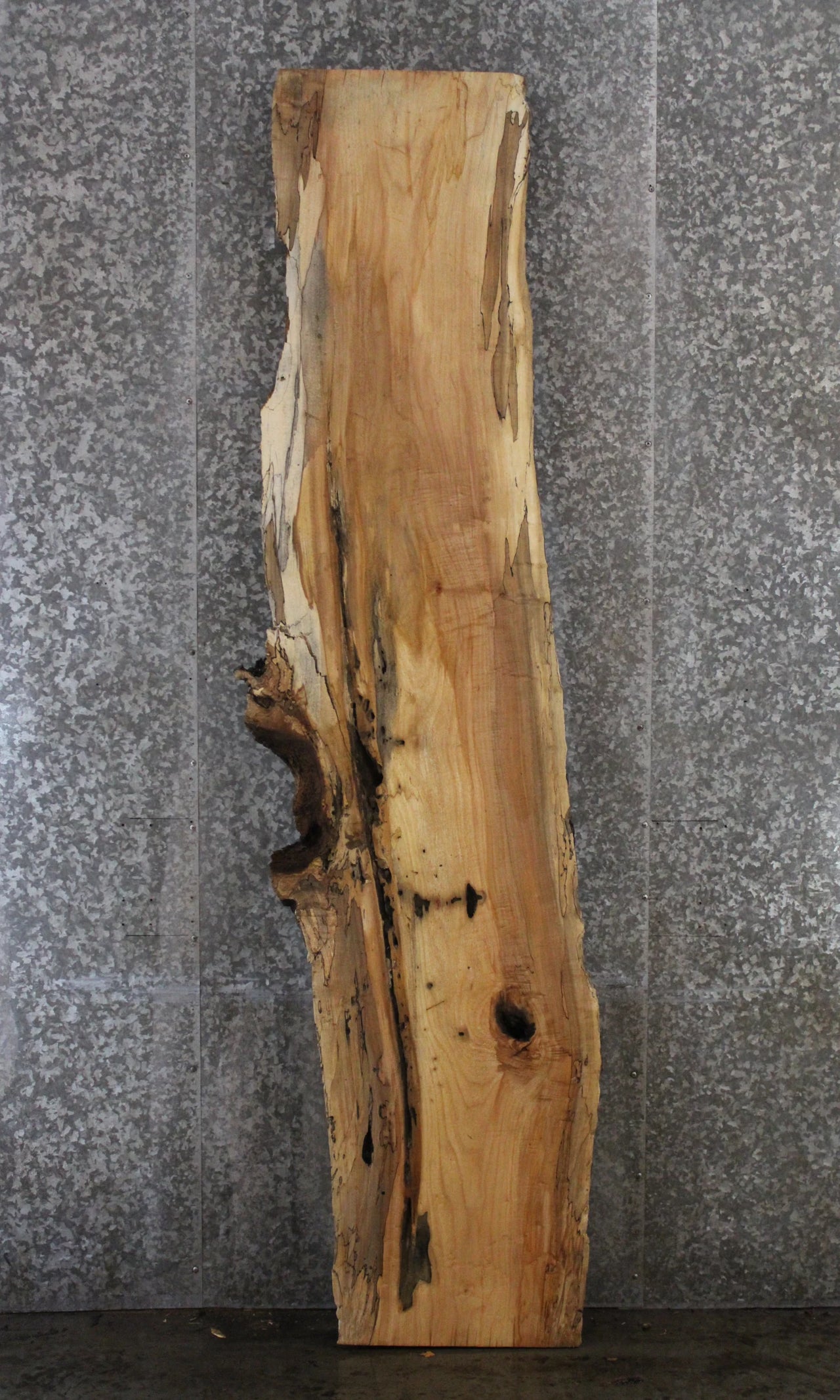 Spalted Maple Live Edge Desk/Bar Top Slab 281