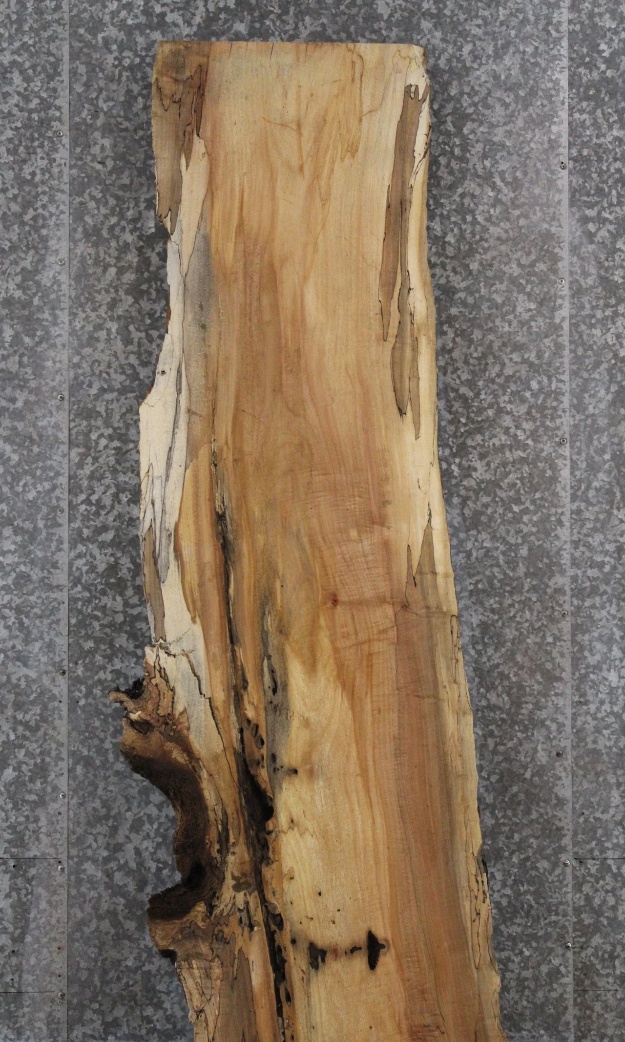 Spalted Maple Live Edge Desk/Bar Top Slab 281