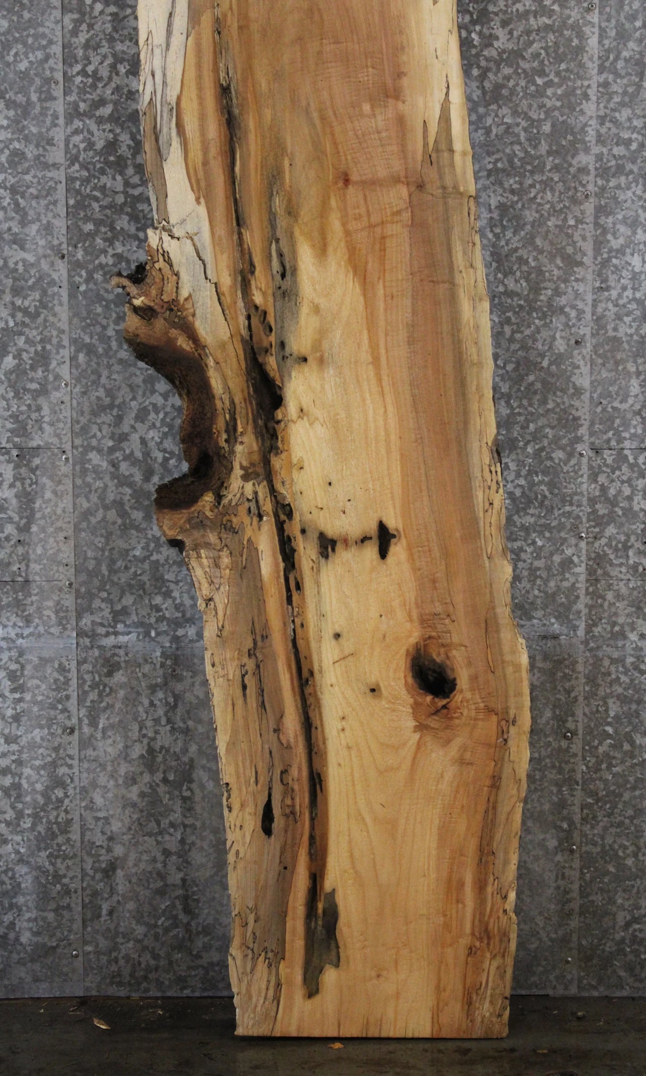 Spalted Maple Live Edge Desk/Bar Top Slab 281