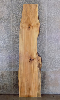 Thumbnail for Rustic Natural Edge Spalted Maple Table Top Slab CLOSEOUT 285