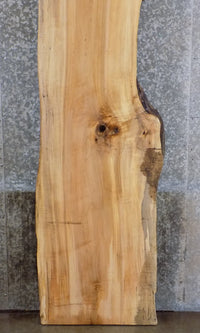 Thumbnail for Rustic Natural Edge Spalted Maple Table Top Slab CLOSEOUT 285