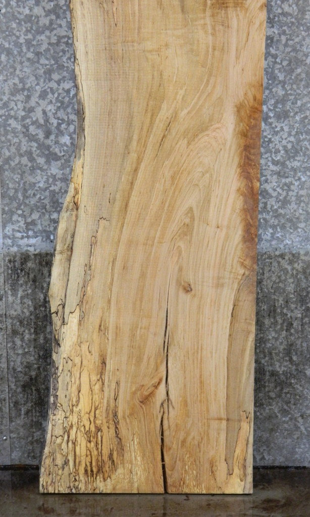 Spalted Maple Partial Live Edge Headboard Wood Slab 289