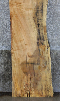 Thumbnail for Spalted Maple Partial Live Edge Headboard Wood Slab CLOSEOUT 289