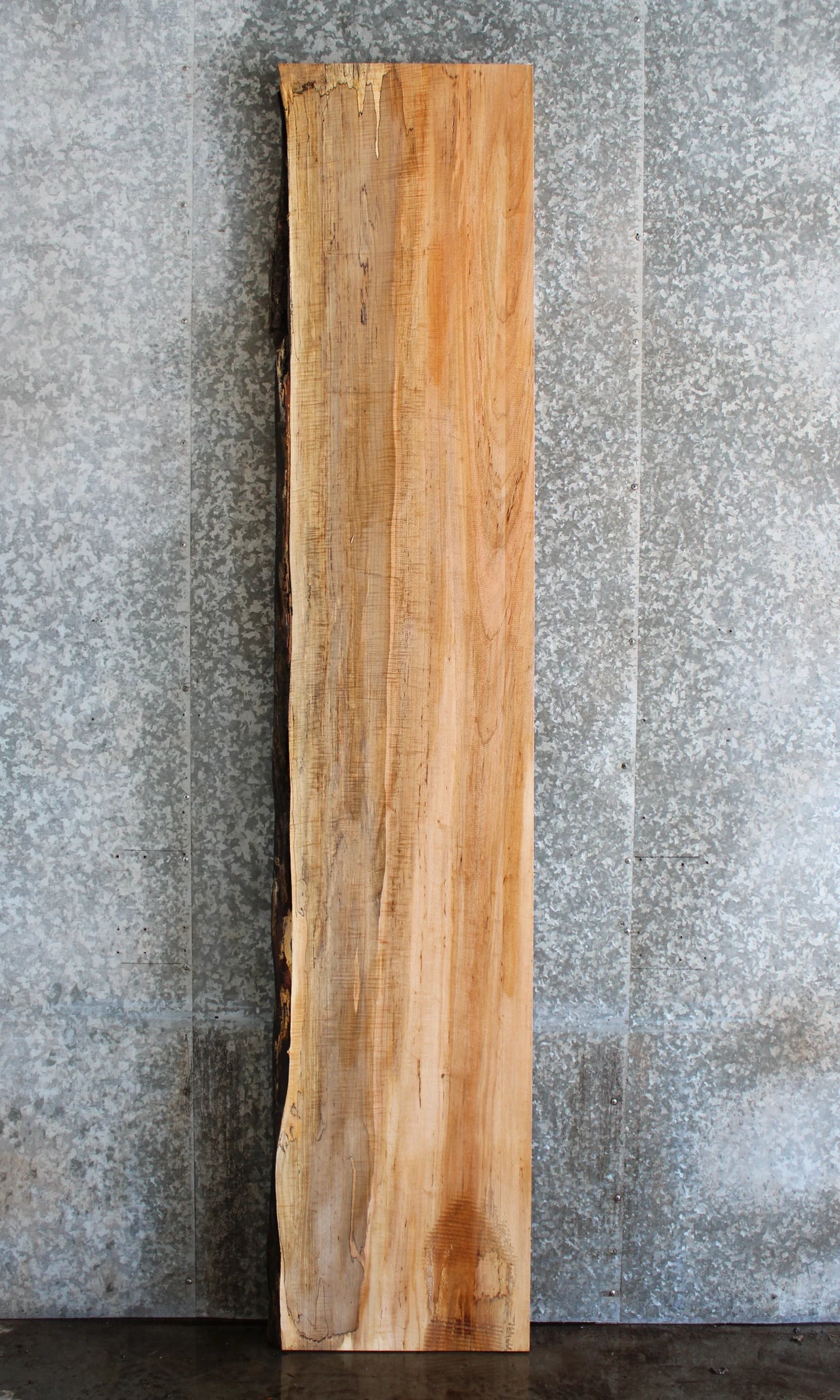Live Edge Spalted Maple Bar/Counter Top Slab 291