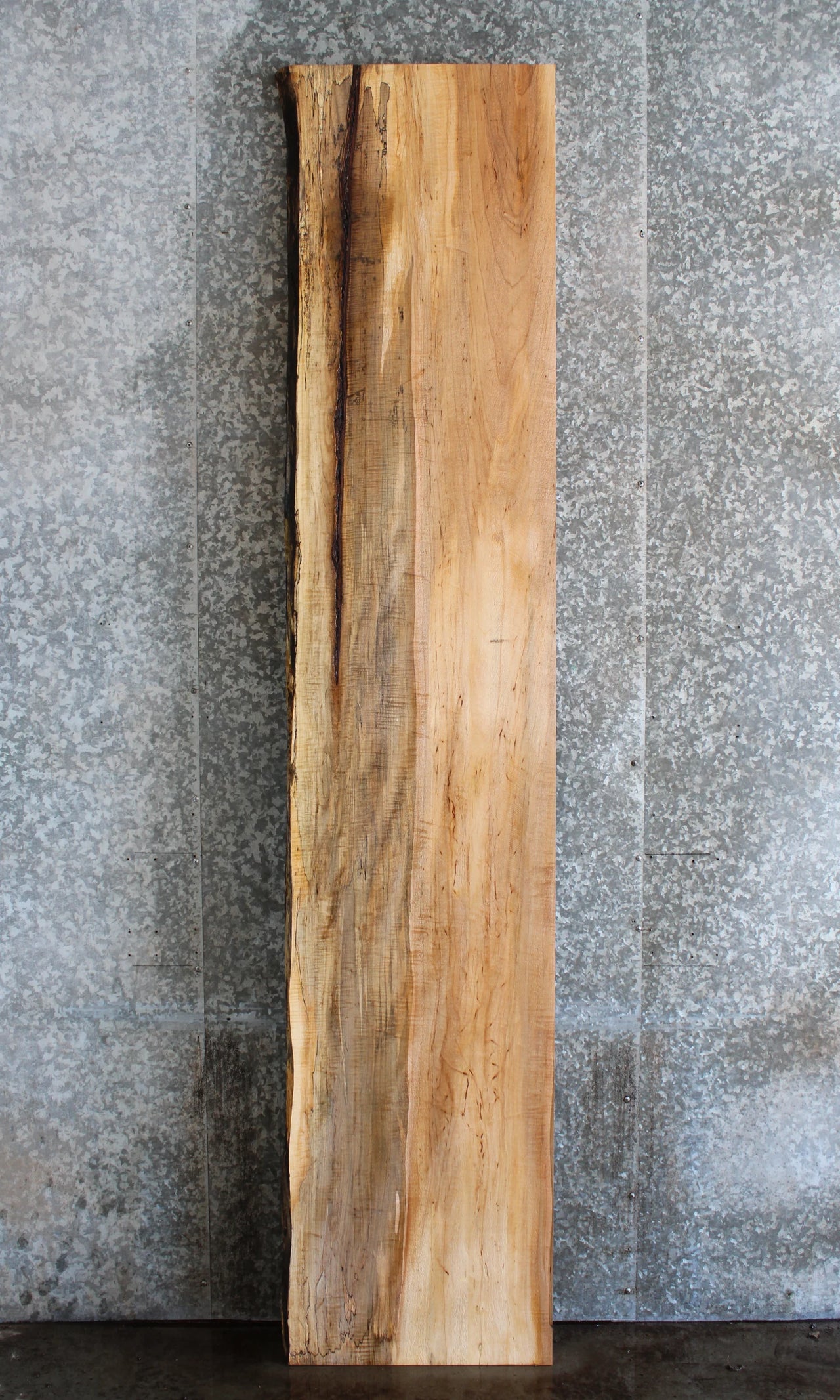 Live Edge Spalted Maple Bar/Counter Top Slab 292
