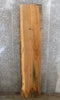 Thumbnail for Live Edge Reclaimed Ash Mantel/Kitchen Counter/Bar Top Slab 294