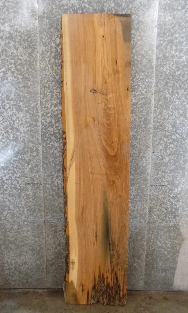 Live Edge Reclaimed Ash Mantel/Kitchen Counter/Bar Top Slab 294