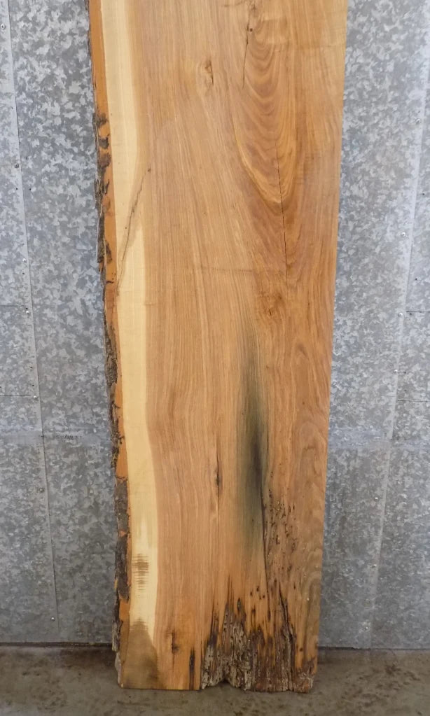 Live Edge Reclaimed Ash Mantel/Kitchen Counter/Bar Top Slab 294