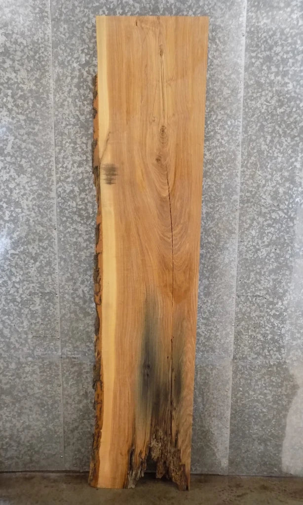 Live Edge Reclaimed Ash Kitchen Counter/Mantel Slab CLOSEOUT 296