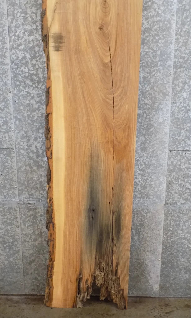 Live Edge Reclaimed Ash Kitchen Counter/Mantel Slab 296