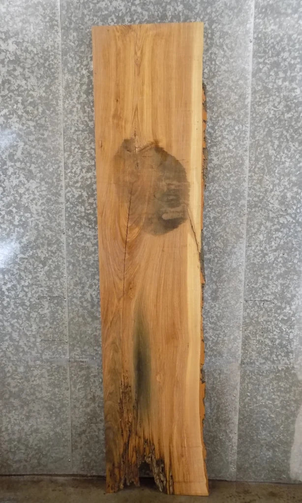 Live Edge Reclaimed Ash Kitchen Counter/Mantel Slab 296