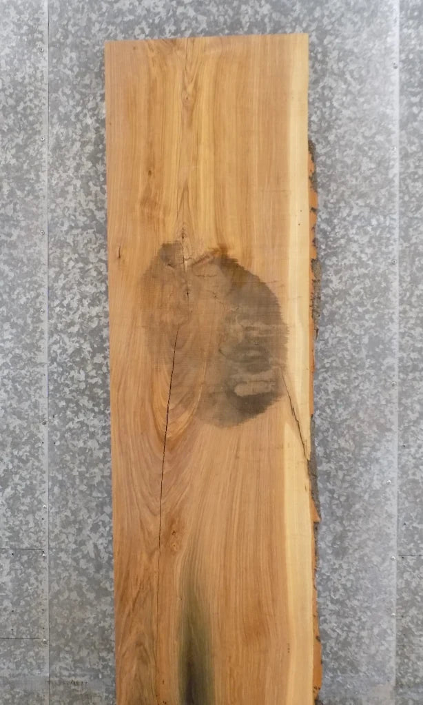 Live Edge Reclaimed Ash Kitchen Counter/Mantel Slab 296