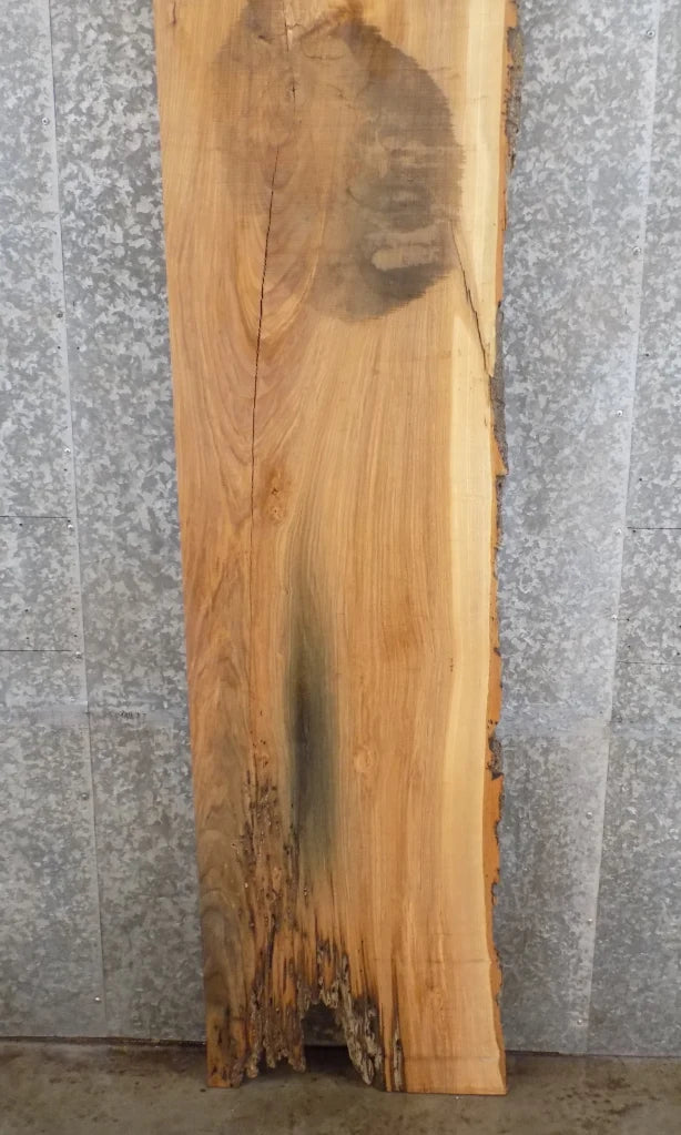 Live Edge Reclaimed Ash Kitchen Counter/Mantel Slab CLOSEOUT 296