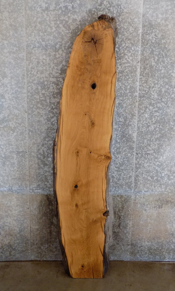 Thick Cut White Oak Rustic Bar/Table Top Slab CLOSEOUT 302