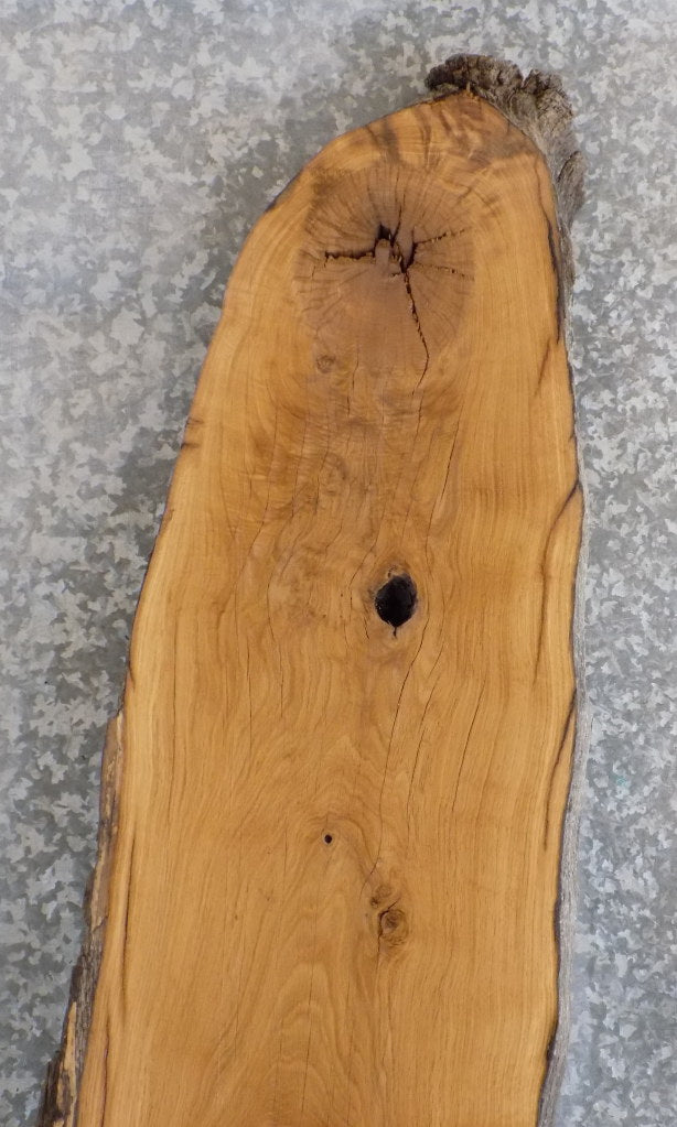 Thick Cut White Oak Rustic Bar/Table Top Slab CLOSEOUT 302