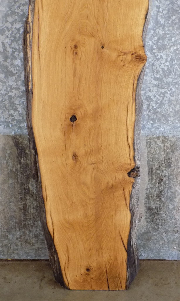 Thick Cut White Oak Rustic Bar/Table Top Slab CLOSEOUT 302