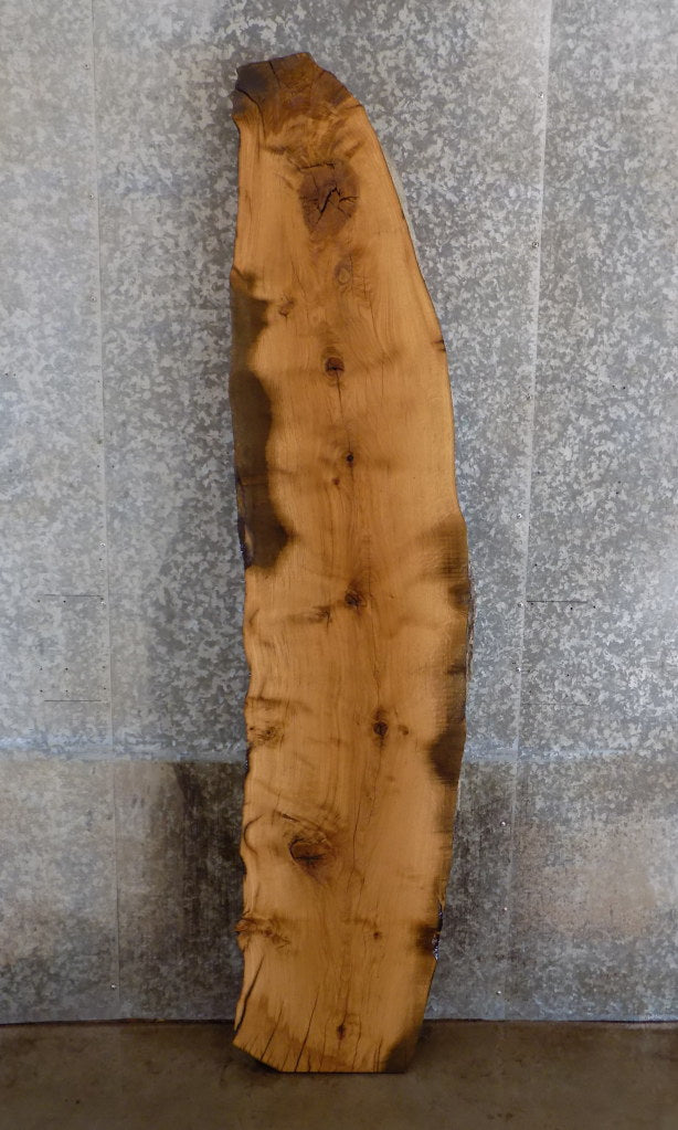 Thick Cut White Oak Rustic Bar/Table Top Slab CLOSEOUT 302