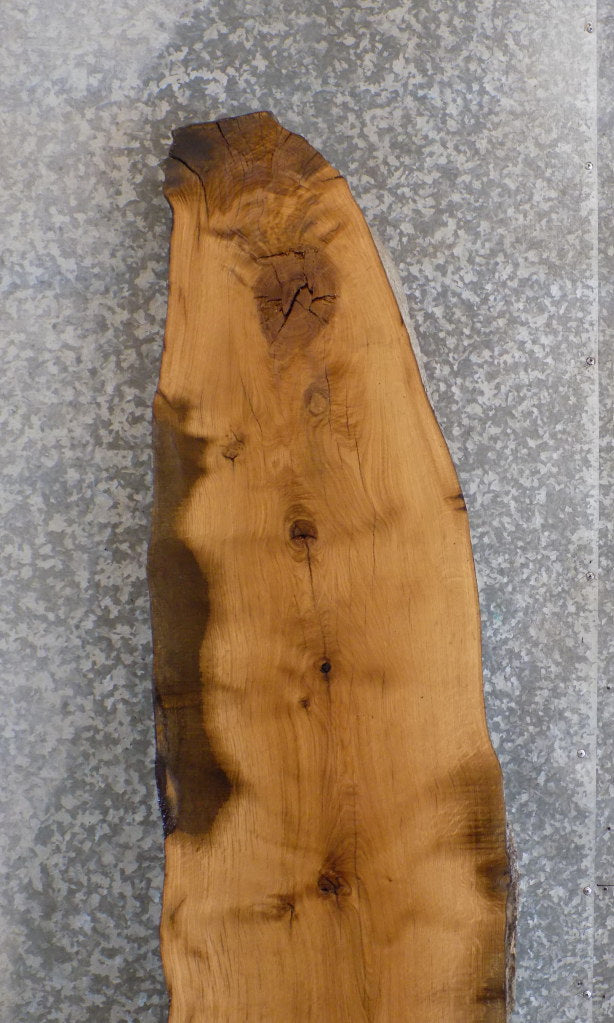 Thick Cut White Oak Rustic Bar/Table Top Slab CLOSEOUT 302