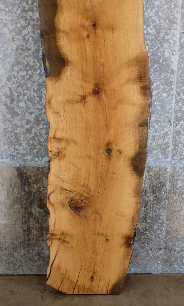 Thick Cut White Oak Rustic Bar/Table Top Slab CLOSEOUT 302
