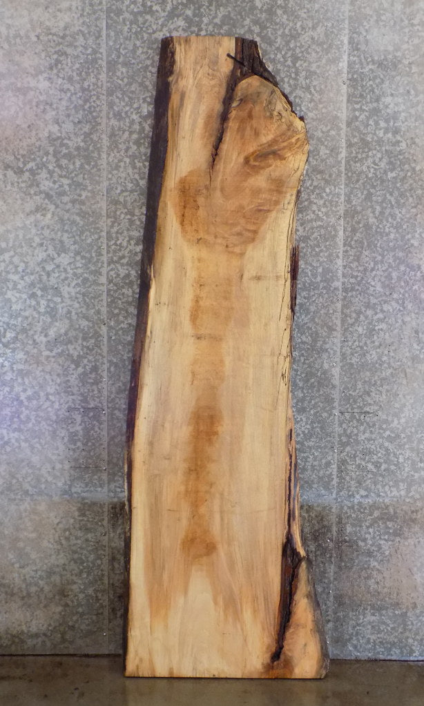 Natural Edge Maple Reclaimed Bar/Reception Table Top Slab 327