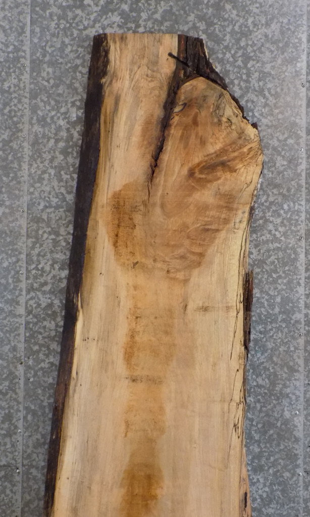 Natural Edge Maple Reclaimed Bar/Reception Table Top Slab 327