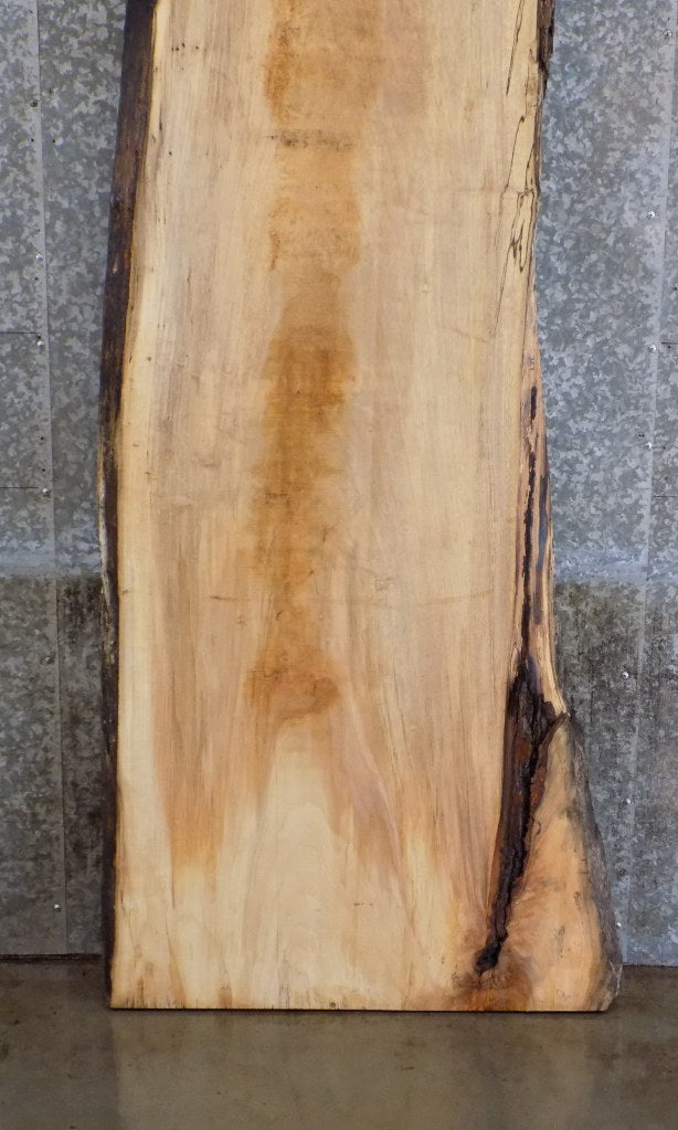 Natural Edge Maple Reclaimed Bar/Reception Table Top Slab 327
