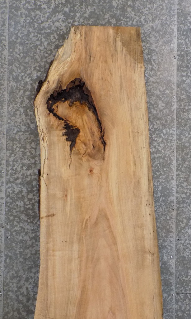 Natural Edge Maple Reclaimed Bar/Reception Table Top Slab 327