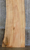 Thumbnail for Natural Edge Maple Reclaimed Bar/Reception Table Top Slab 327