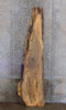 Thumbnail for Live Edge Maple Rustic Headboard/Bar/Table Top Slab 341