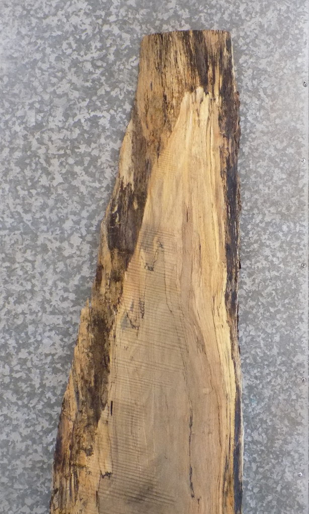 Live Edge Maple Rustic Headboard/Bar/Table Top Slab 341