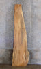 Thumbnail for Live Edge Maple Rustic Headboard/Bar/Table Top Slab 341