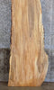 Thumbnail for Live Edge Maple Rustic Headboard/Bar/Table Top Slab 341