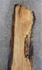 Thumbnail for Live Edge Maple Salvaged Headboard/Table Top Slab CLOSEOUT 342