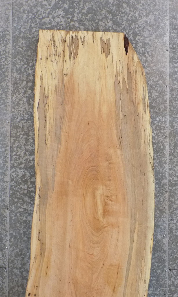 Live Edge Maple Reclaimed Bar/Table Top/Headboard Slab 343