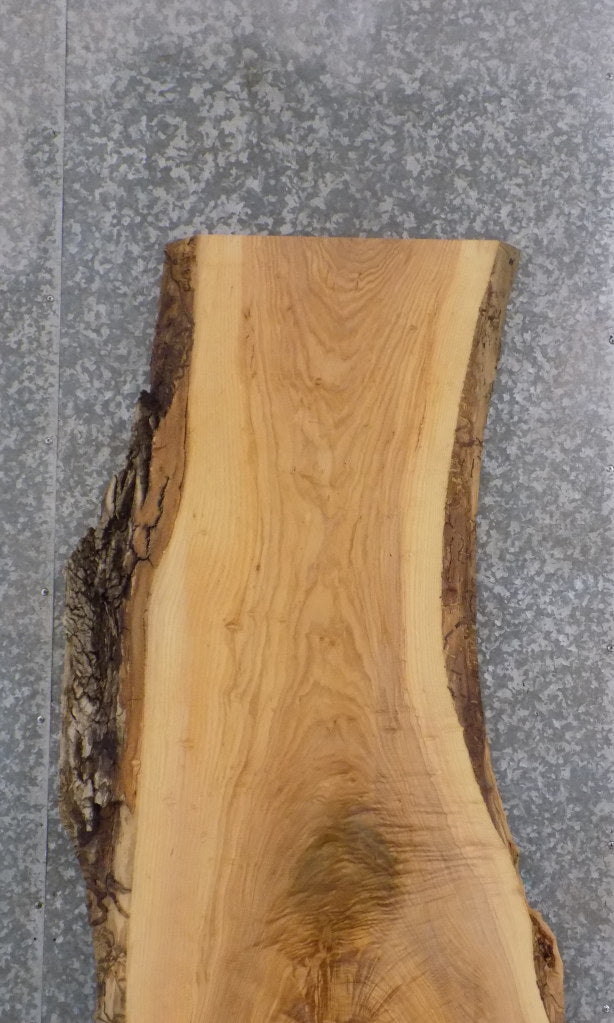 Natural Edge Reclaimed Ash Table/Desk Top Wood Slab 370