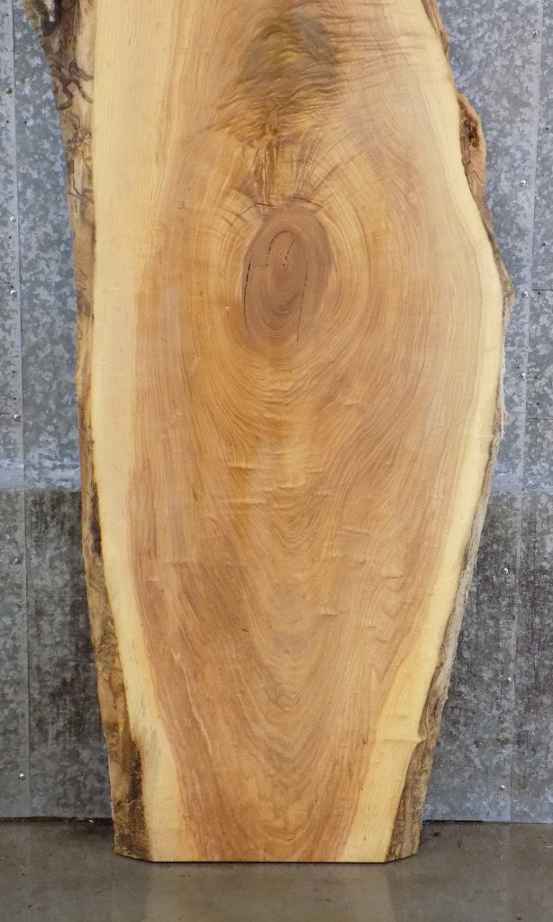 Natural Edge Reclaimed Ash Table/Desk Top Wood Slab CLOSEOUT 370