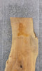 Thumbnail for Natural Edge Reclaimed Ash Table/Desk Top Wood Slab CLOSEOUT 370