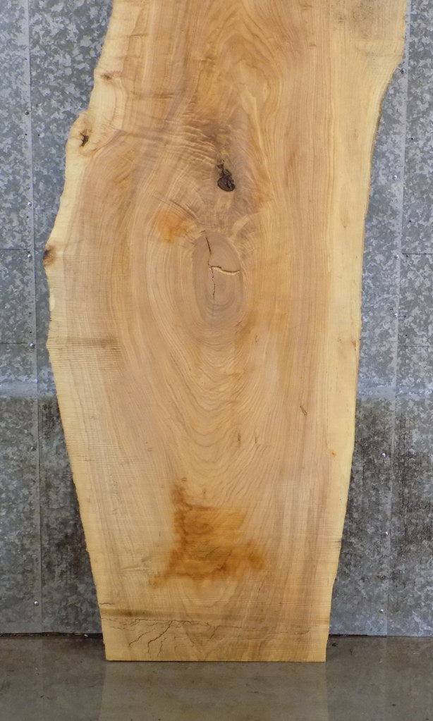 Natural Edge Reclaimed Ash Table/Desk Top Wood Slab 370