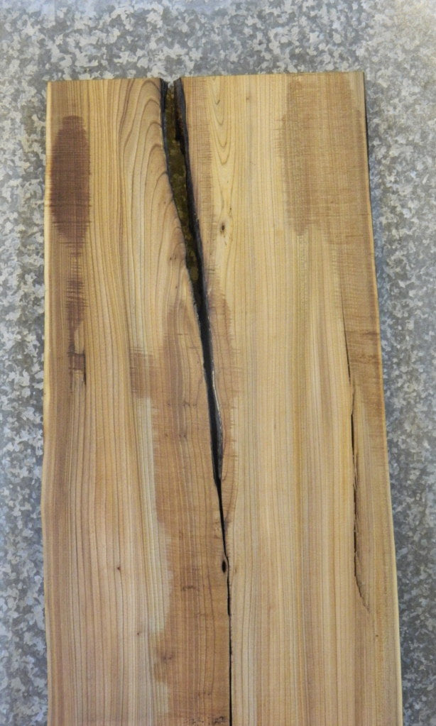 2- Live Edge Elm River Table Top/Split Board Slab Halves CLOSEOUT 373