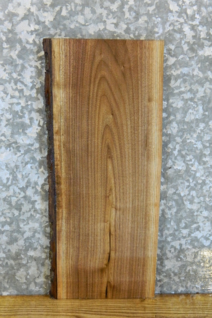 DIY Live Edge Black Walnut Charcuterie Board* 38001