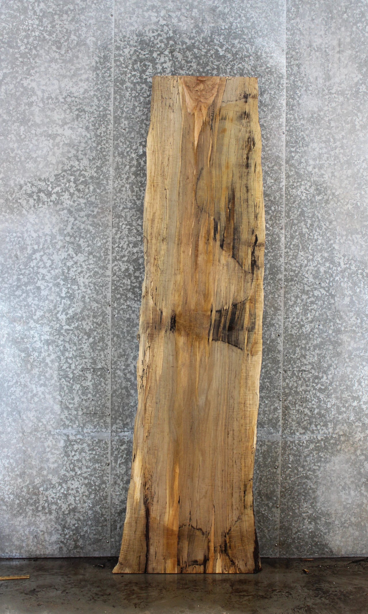 Spalted Maple Live Edge Bar Top/Desk Slab 383