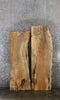 Thumbnail for 2- Spalted Maple Live Edge Shelf/Bench Slabs 39014
